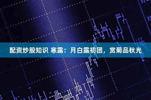 配资炒股知识 寒露：月白露初团，赏菊品秋光