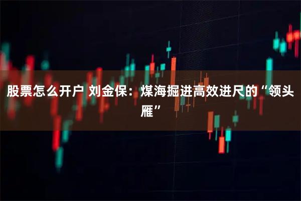 股票怎么开户 刘金保：煤海掘进高效进尺的“领头雁”