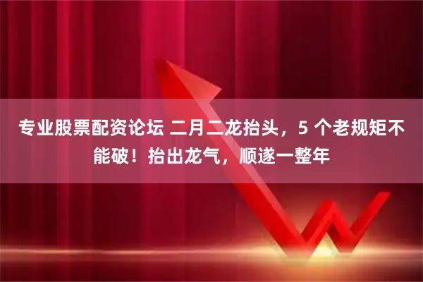专业股票配资论坛 二月二龙抬头，5 个老规矩不能破！抬出龙气，顺遂一整年