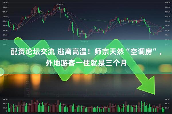 配资论坛交流 逃离高温！师宗天然“空调房”，外地游客一住就是三个月